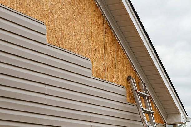 Professional Siding Repair technician working in Colonial Heights, TN